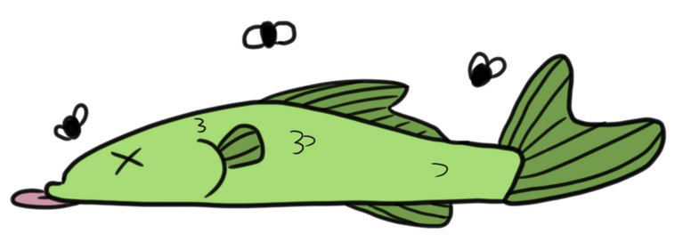 All Dead Fishx Socials